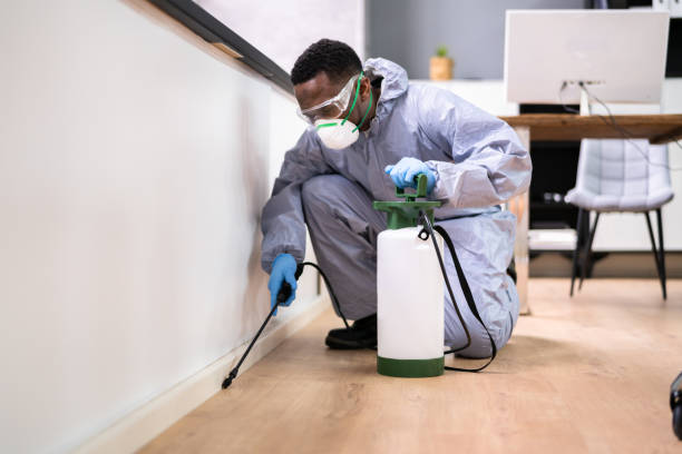 Best Fumigation Services  in Long Neck, DE